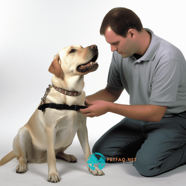 Are there any alternatives to using a dog training collar?