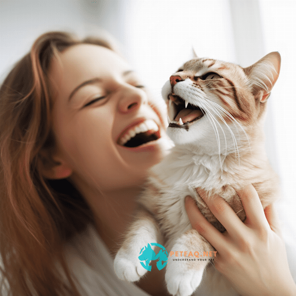 How does Science Diet Oral Care Cat food compare to other dental health cat foods on the market?