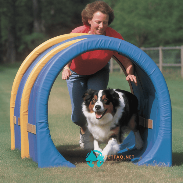 Creating a Customized Agility Training Plan for Your Dog