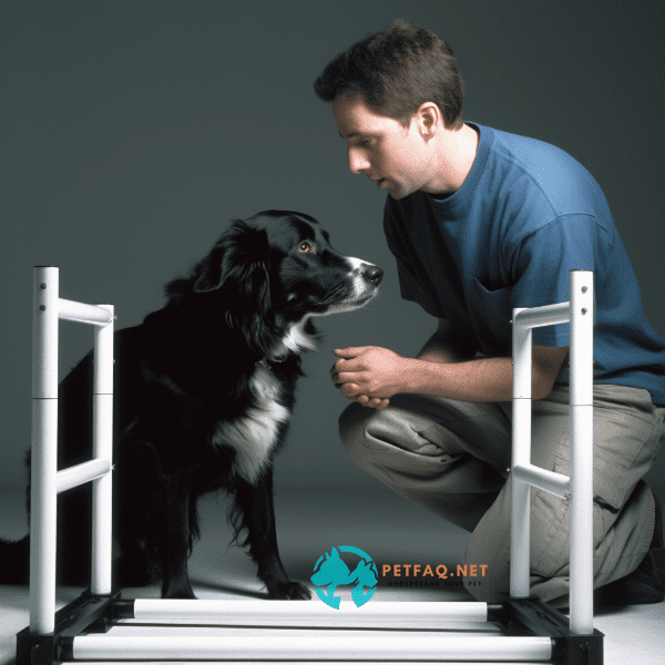What are the benefits of agility training for dogs?