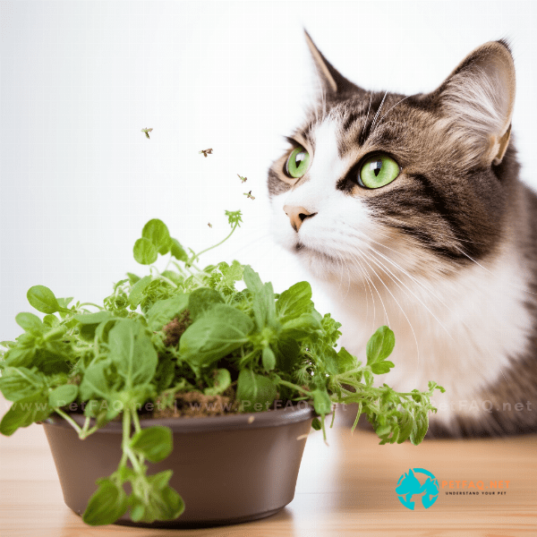 Can cats overdose on catnip if they eat too much?