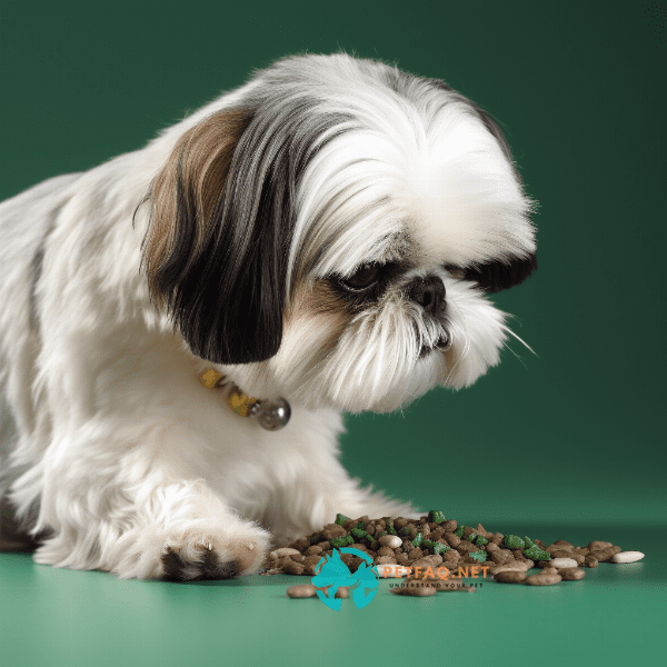 How to Introduce Catnip to Your Dog: Dos and Don'ts