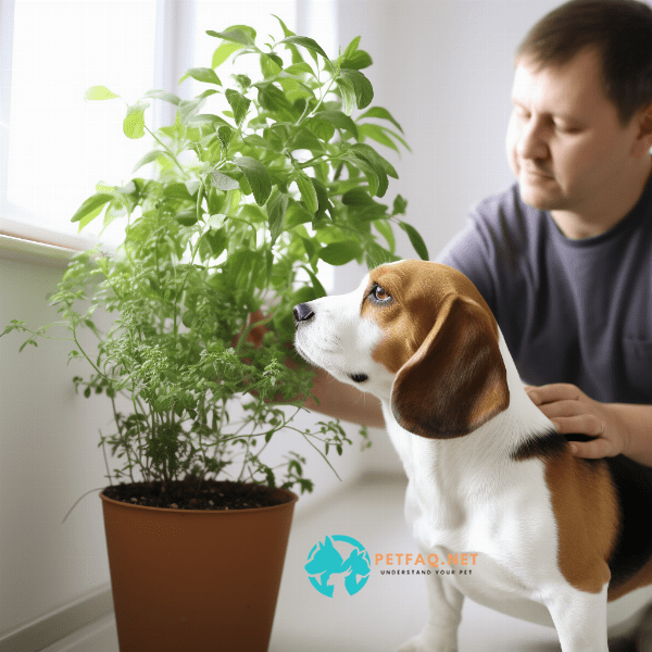 Introduction to Catnip for Dogs