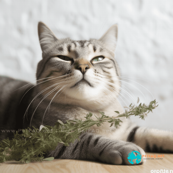 Is Catnip Safe for Cats? Debunking Common Myths and Misconceptions