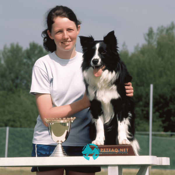 Tips for Competing in Agility Trials with Your Dog