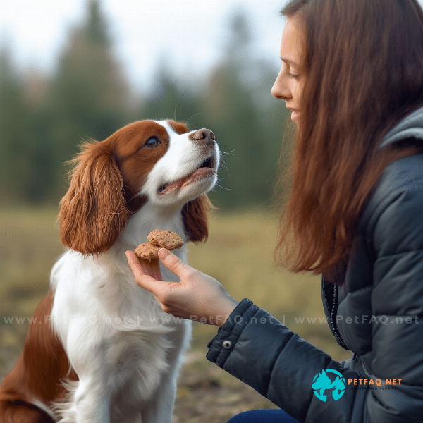 Tips for Using Dog Training Treats Effectively
