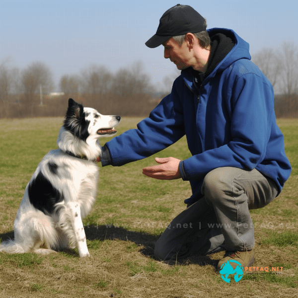 Choose a trick: Decide which trick you want to teach your dog. Start with a simple trick, such as “sit” or “shake.”
