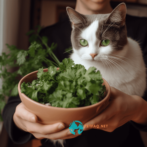 Home Remedies for Cat Bad Breath: Natural Solutions to Try